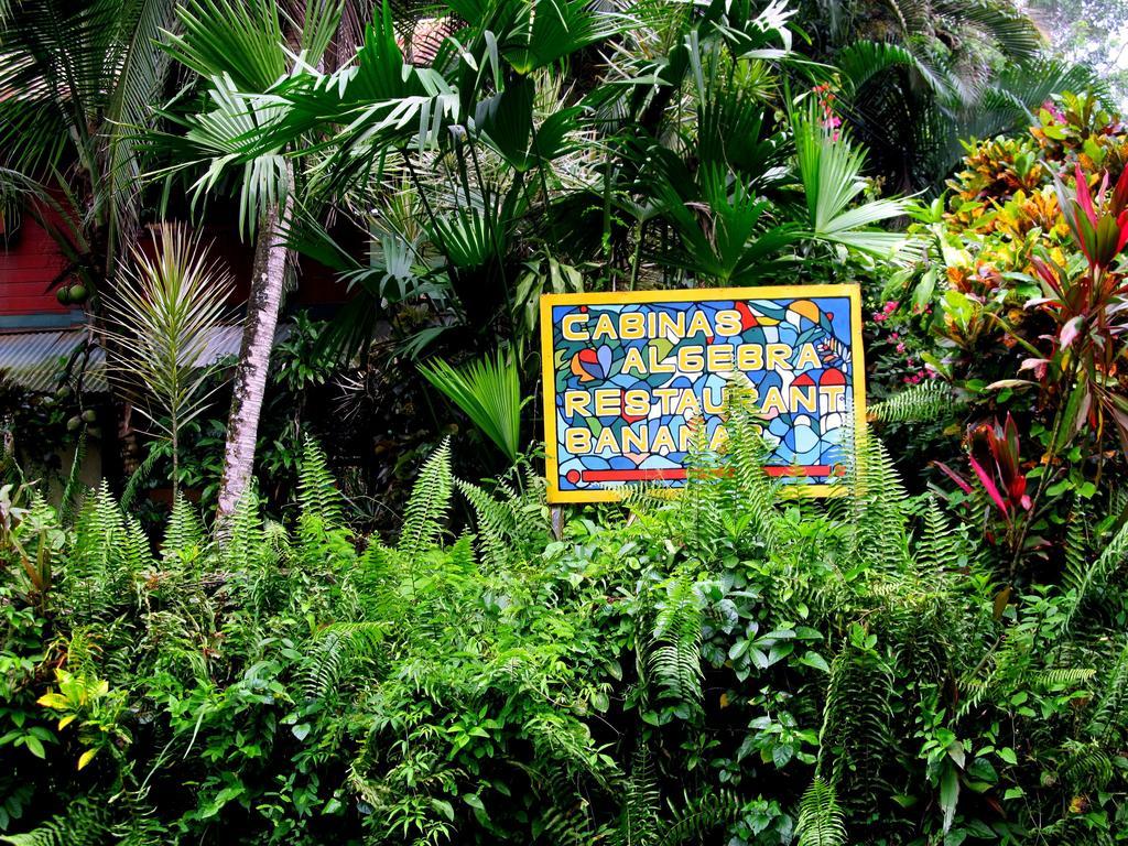 Cabinas Algebra Cahuita Exteriör bild