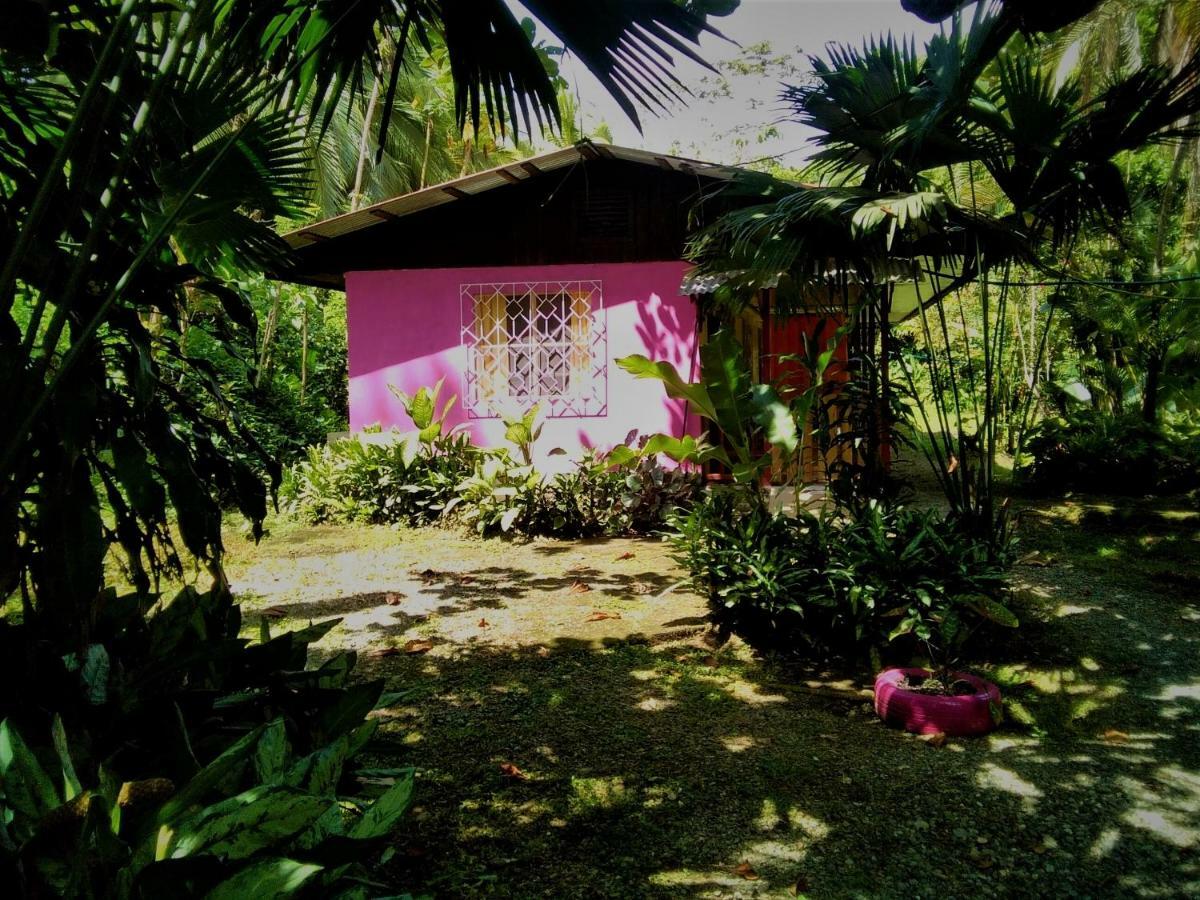 Cabinas Algebra Cahuita Exteriör bild