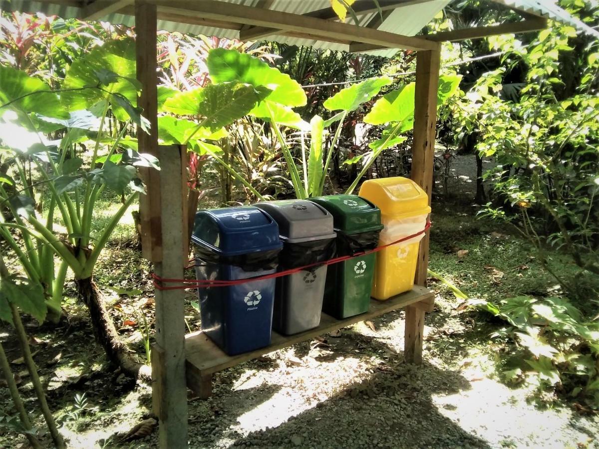 Cabinas Algebra Cahuita Exteriör bild